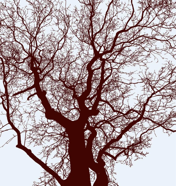 Silhouette Dei Tronchi Albero Con Rami — Vettoriale Stock