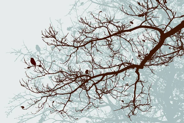 Силуэты Дубовых Ветвей Зимнем Лесу — стоковый вектор