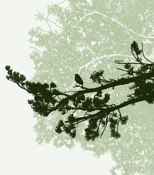 Imagen Vectorial Silueta Ramas Pino Con Pájaro Bosque Abeto — Archivo Imágenes Vectoriales