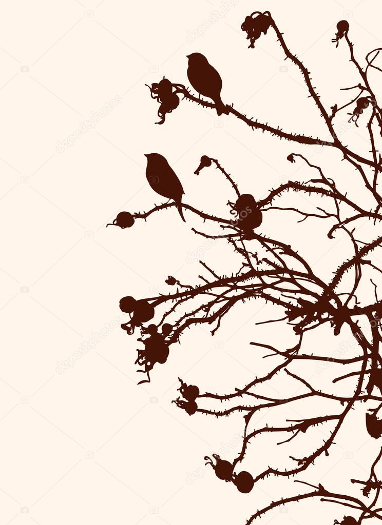 Vector image of silhouettes birds sitting on twigs of wild rose in autumn