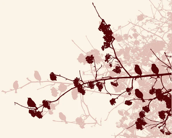 Vektorbild Von Vogelbeerenzweigen Silhouetten Mit Vögeln Herbstwald — Stockvektor
