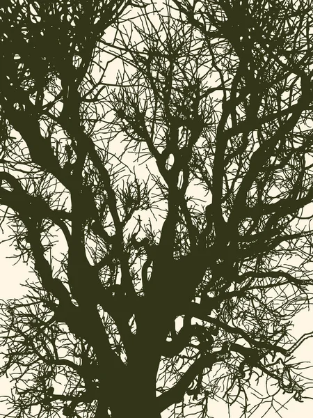 Image Vectorielle Silhouette Arbre Aux Branches Tordues — Image vectorielle