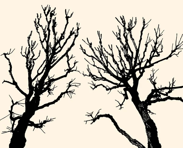 寒い季節に2本の落葉樹のシルエットのベクトル画像 — ストックベクタ