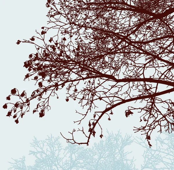 Векторное Изображение Силуэтов Рябины Осеннем Лесу — стоковый вектор