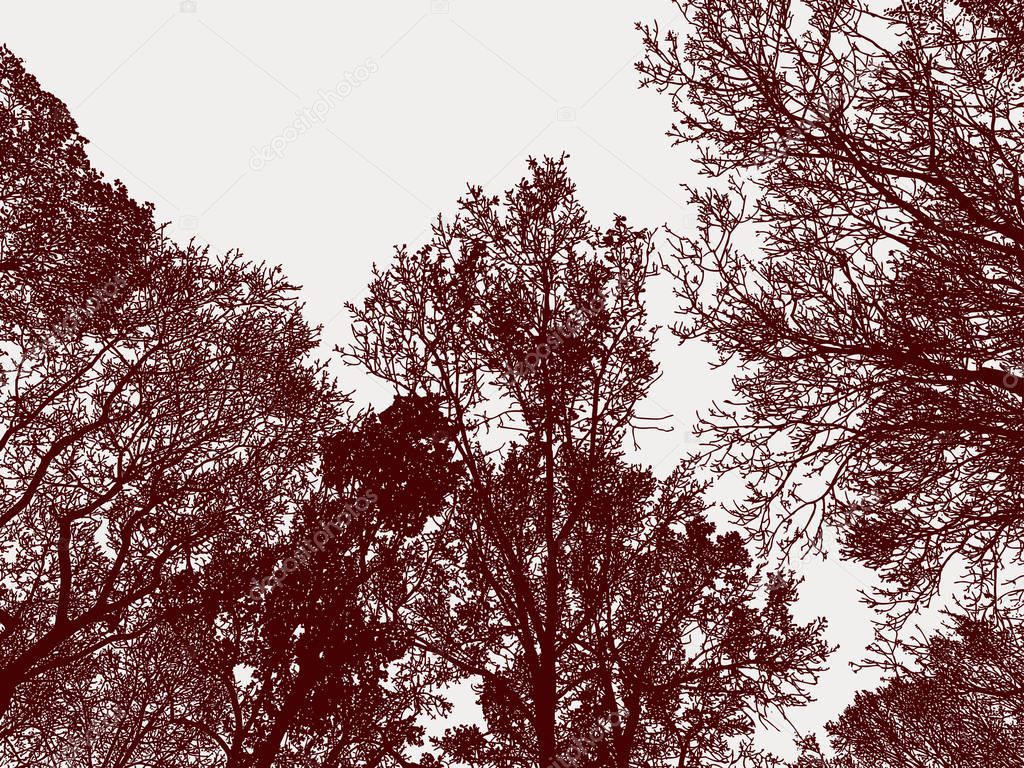Vector image of deciduous trees silhouettes in autumn forest