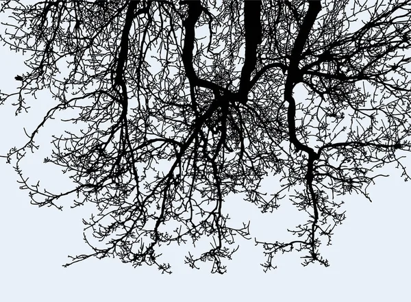 Image Vectorielle Silhouettes Branches Arbres Sésame Froid — Image vectorielle