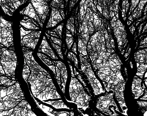 Natur Hintergrund Der Bäume Silhouetten Einem Verschneiten Wintertag — Stockvektor