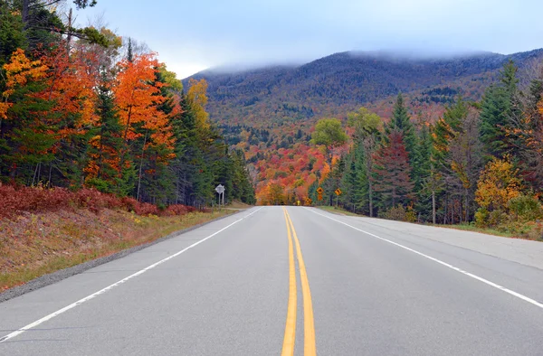 Herfst gebladerte met rood, oranje en geel vallen kleuren in A noordoosten bos — Stockfoto
