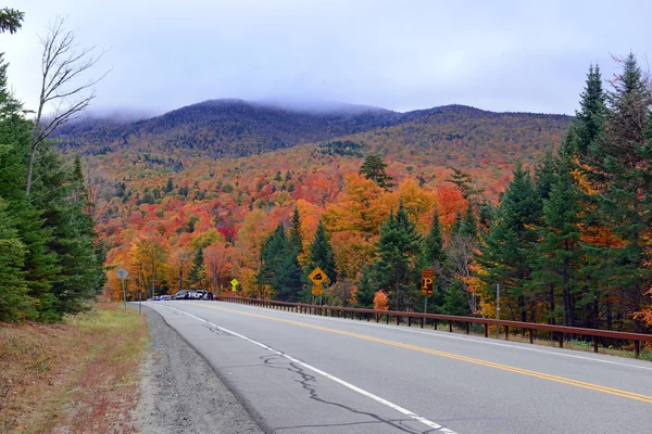 Feuillage d'automne aux couleurs d'automne rouge, orange et jaune dans une forêt du nord-est — Photo