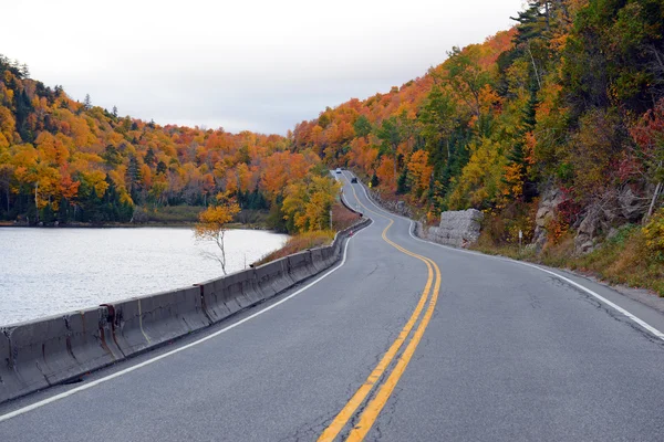 Autumn foliage with red, orange and yellow fall colors in A Northeast forest — Stock Photo, Image