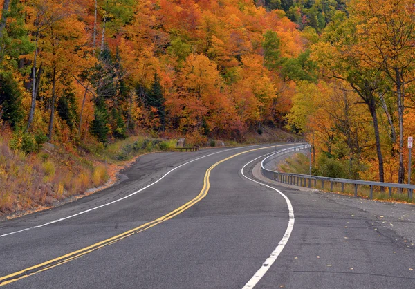 Follaje otoñal con colores de otoño rojo, naranja y amarillo en un bosque del noreste — Foto de Stock