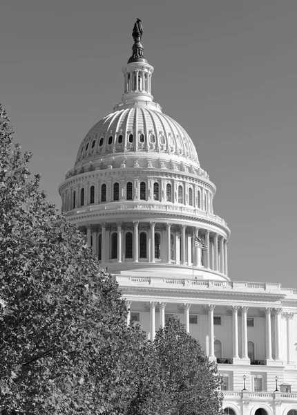 O Capitólio em Washington DC, capital dos Estados Unidos da América — Fotografia de Stock