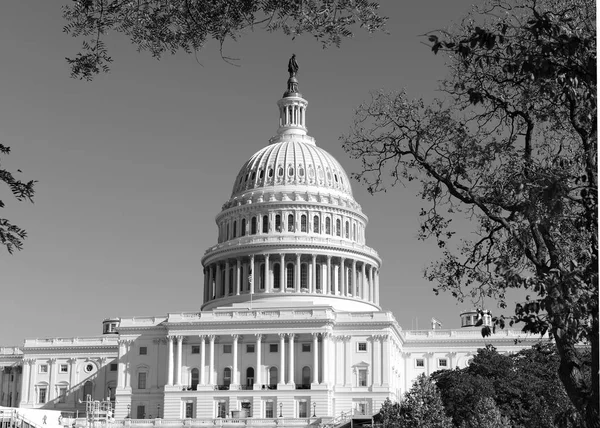 O Capitólio em Washington DC, capital dos Estados Unidos da América — Fotografia de Stock