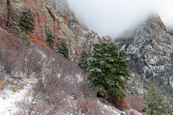 Colori vivaci del paesaggio forestale alpino con neve, Montagne Sandia, Nuovo Messico, Stati Uniti — Foto Stock