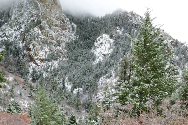 颜色鲜艳的高山森林景观与雪，桑迪亚山脉，新墨西哥，美国 — 图库照片