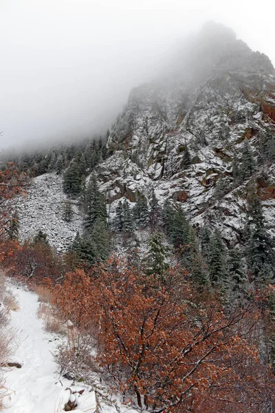 Levande färger av Alpine skogslandskap med snö, Sandia bergen, New Mexico, Usa — Stockfoto