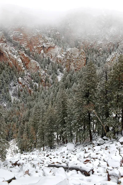 Colores vibrantes del paisaje del bosque alpino con nieve, Montañas Sandia, Nuevo México, EE.UU. — Foto de Stock