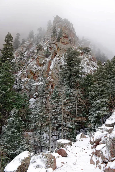 Colores vibrantes del paisaje del bosque alpino con nieve, Montañas Sandia, Nuevo México, EE.UU. — Foto de Stock