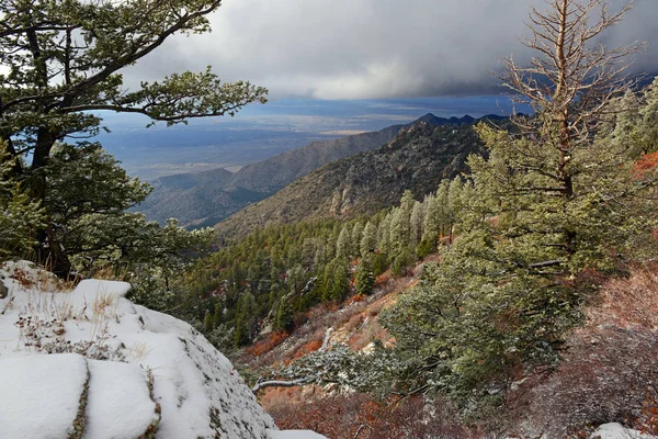 Cores vibrantes da paisagem da floresta alpina com neve, Montanhas Sandia, Novo México, EUA — Fotografia de Stock