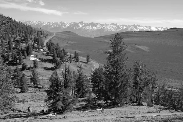 Alpské scénu s sníh vrcholky hor. v východní Sierra poblíž Yosemitský národní park, pohoří Sierra Nevada, Kalifornie vyhledávaným místem pro Rv výlety, rodinnou dovolenou, backpacking a pěší turistika — Stock fotografie