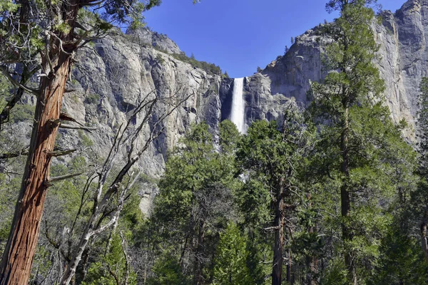 Cascada en el parque nacional de Yosemite, California — Foto de Stock