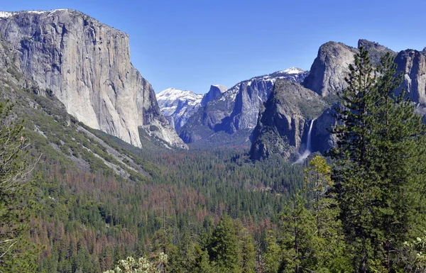 Alpine scene with Granite monoliths in Yosemite National Park, Sierra Nevada Mountains, California — Stock Photo, Image