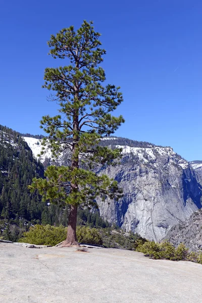 Alpine scene with granite monoliths in Yosemite National Park, California — Stock Photo, Image