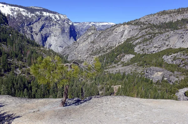 Alpine scene in Yosemite National Park, Sierra Nevada Mountains, California — Stock Photo, Image