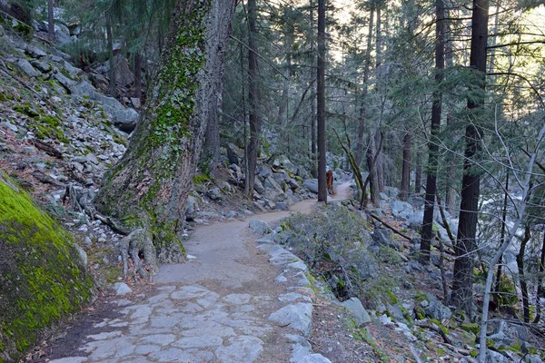 Vistas caminhadas ao longo da Trilha de Névoa até a Queda Vernal ao longo do Rio Merced, Parque Nacional de Yosemite, Califórnia — Fotografia de Stock