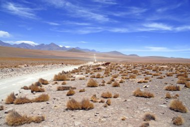 Atacama Çölü, rock, dağlar ve Bolivya sınırında Güney Amerika Şili'deki kum kurak ve uzak bir yüksek Yaylası Spartalı volkanik manzara