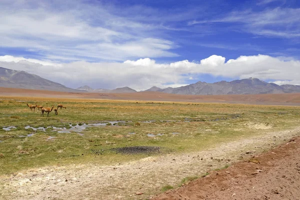 Spartiate paysage volcanique du désert Atacama, un haut plateau arid et distant de rock, de montagnes et de sable au Chili, près de la frontière de la Bolivie, l’Amérique du Sud — Photo