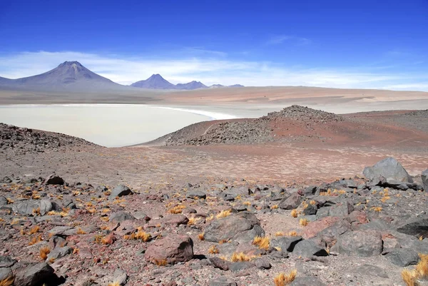 Paisaje volcánico espartano del desierto de Atacama, una meseta alta árida y remota de roca, montañas y arena en Chile cerca de la frontera con Bolivia, América del Sur —  Fotos de Stock