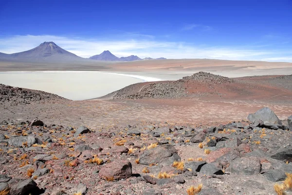 Paisagem vulcânica espartana do deserto do Atacama, um alto planalto árido e remoto de rocha, montanhas e areia no Chile, perto da fronteira com a Bolívia, América do Sul — Fotografia de Stock