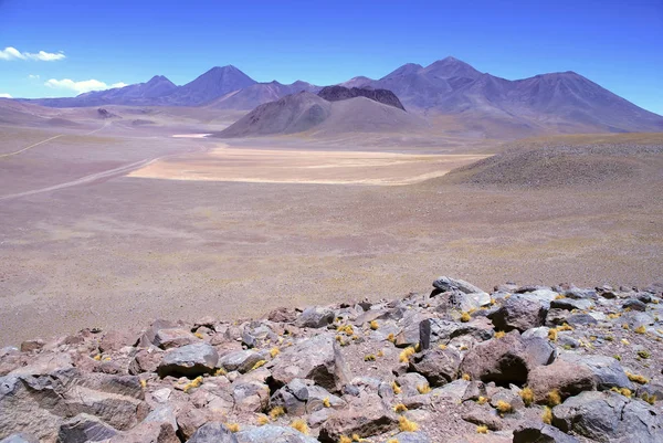 Paisaje volcánico espartano del desierto de Atacama, una meseta alta árida y remota de roca, montañas y arena en Chile cerca de la frontera con Bolivia, América del Sur — Foto de Stock