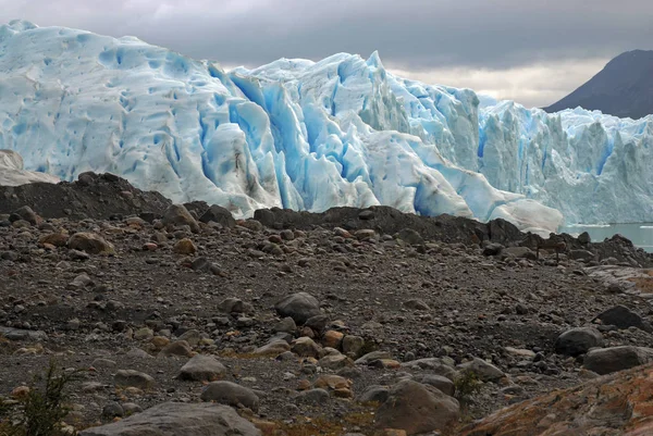 Lodowaty Górskich Krajobrazów Wokół Lodowca Perito Moreno Patagonii Argentyna — Zdjęcie stockowe