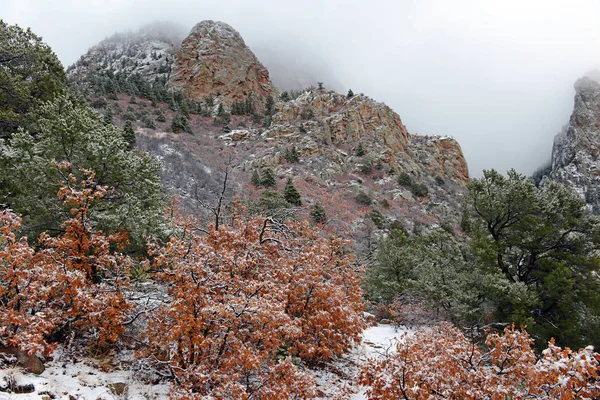 Яскраві Кольори Alpine Ліс Краєвид Снігом Sandia Гори Нью Мексико — стокове фото