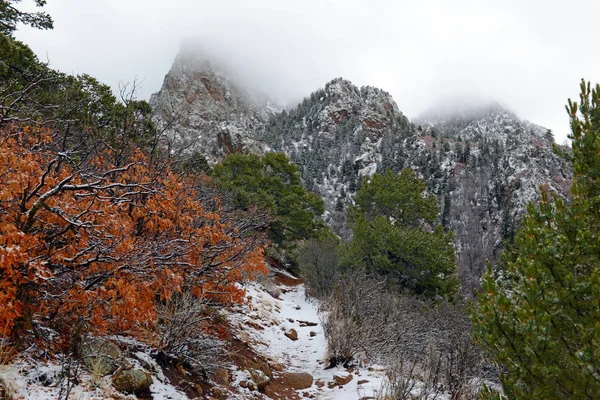 Яскраві Кольори Alpine Ліс Краєвид Снігом Sandia Гори Нью Мексико — стокове фото