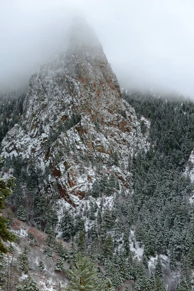 Яскраві Кольори Alpine Ліс Краєвид Снігом Sandia Гори Нью Мексико — стокове фото