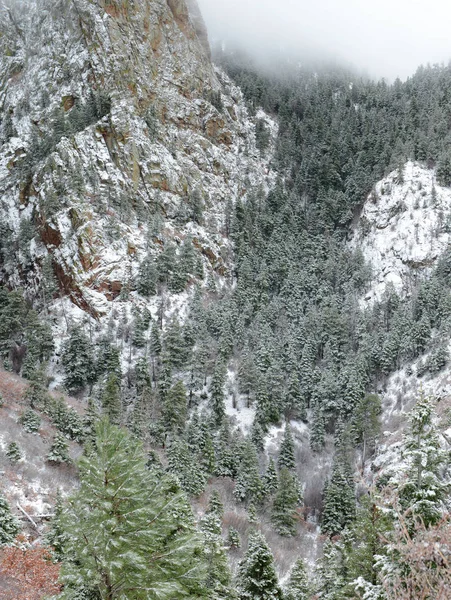 Яскраві Кольори Alpine Ліс Краєвид Снігом Sandia Гори Нью Мексико — стокове фото