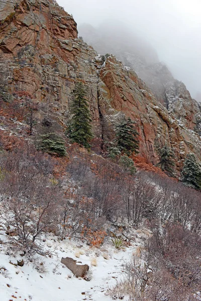 Яскраві Кольори Alpine Ліс Краєвид Снігом Sandia Гори Нью Мексико — стокове фото