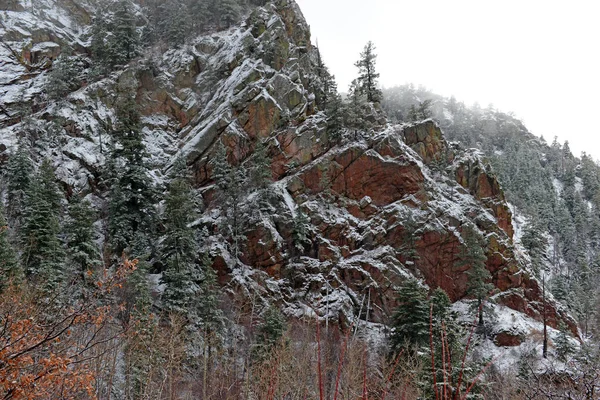 Яскраві Кольори Alpine Ліс Краєвид Снігом Sandia Гори Нью Мексико — стокове фото