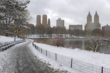 Kar sahne Central Park New York'ta