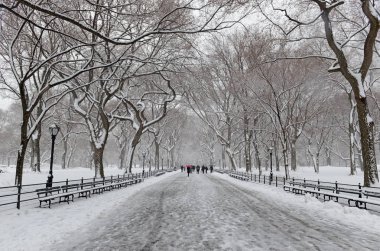 Kar sahne Central Park New York'ta