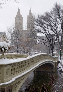 Kar sahne Central Park New York'ta