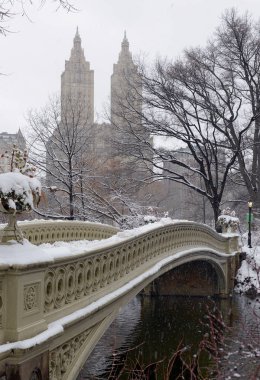 Snow scene in Central Park New York clipart