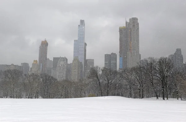Schneeszene Central Park New York — Stockfoto