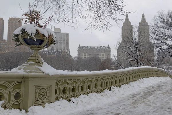 Сніжна Сцена Центральному Парку Нью Йорк — стокове фото