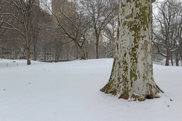 Schneeszene Central Park New York — Stockfoto