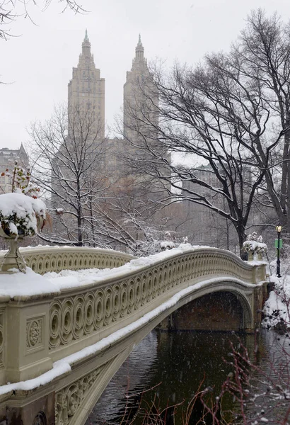 Schneeszene Central Park New York — Stockfoto