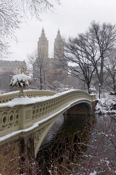 Cena Neve Central Park New York — Fotografia de Stock